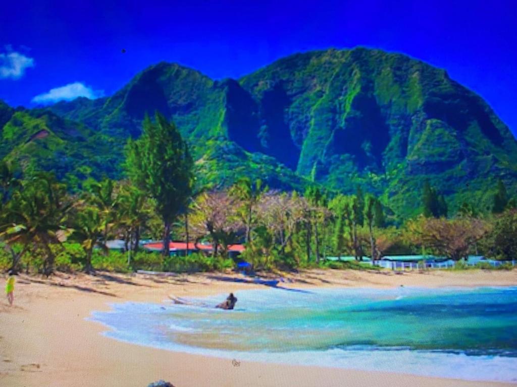 Haena Beachfront With Stunning Panoramic Ocean Views Tvnc # 5134 Villa Hanalei Exterior photo